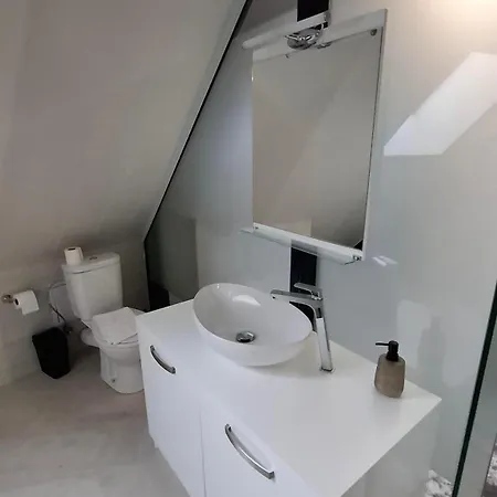 Rcr Einstein 索菲亞