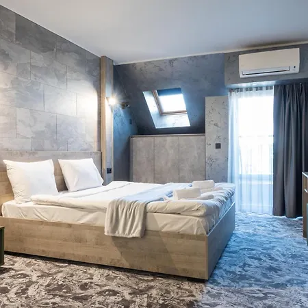 Rcr Einstein ソフィア